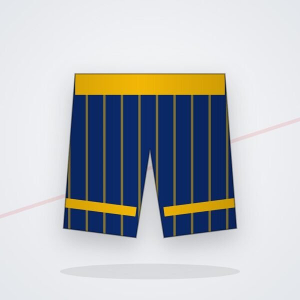 Raptor Fight Shorts by Eighty8 Sports