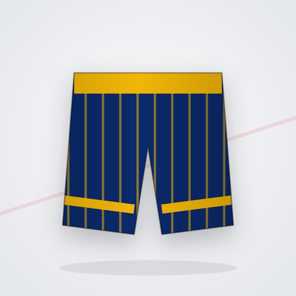 Raptor Fight Shorts by Eighty8 Sports